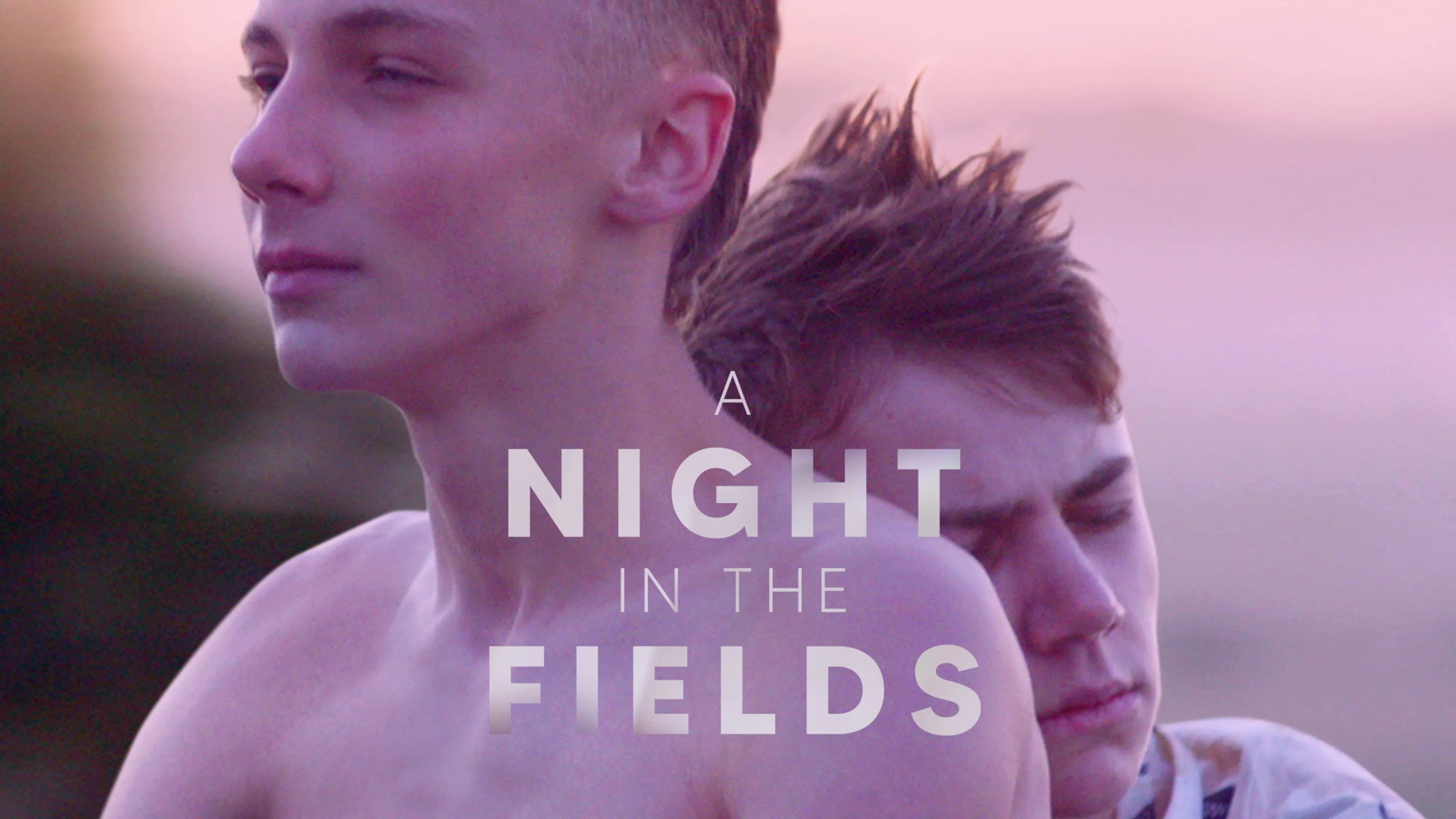 A Night in the Fields poster